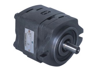 gear pump  IGP-1Internal