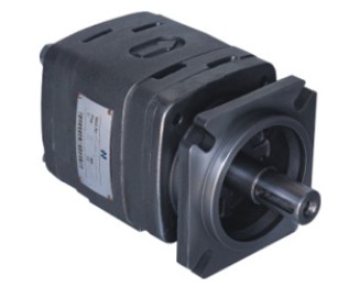 gear pump IGP-2 Internal