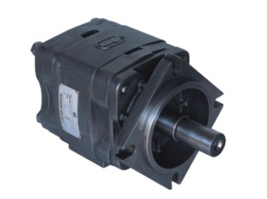IGP-3 Internal gear pump