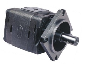 IGP-4 Internal gear pump